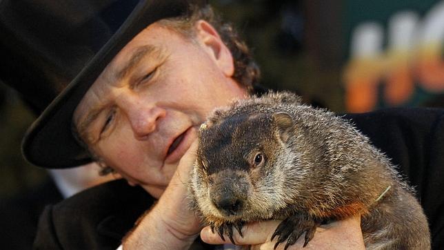 La marmota Phil
